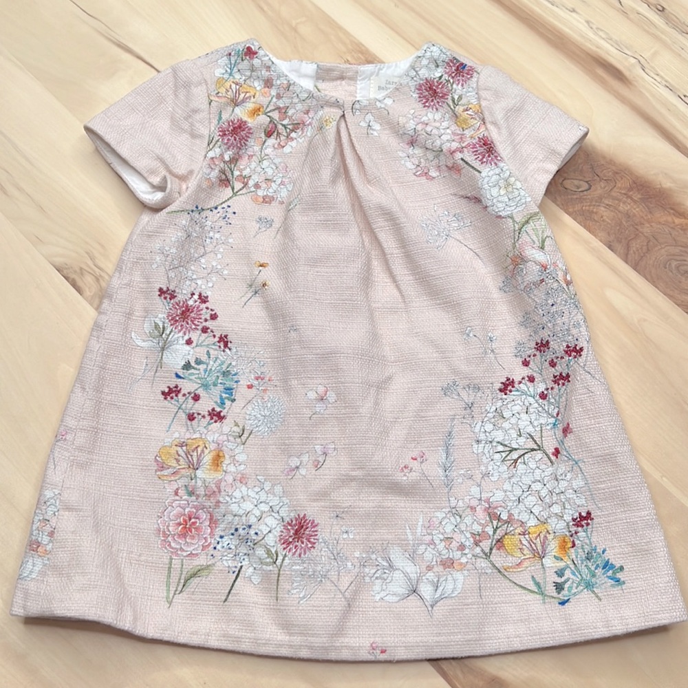 Zara Baby Girl Wildflower Pink Dress 6/9 months
